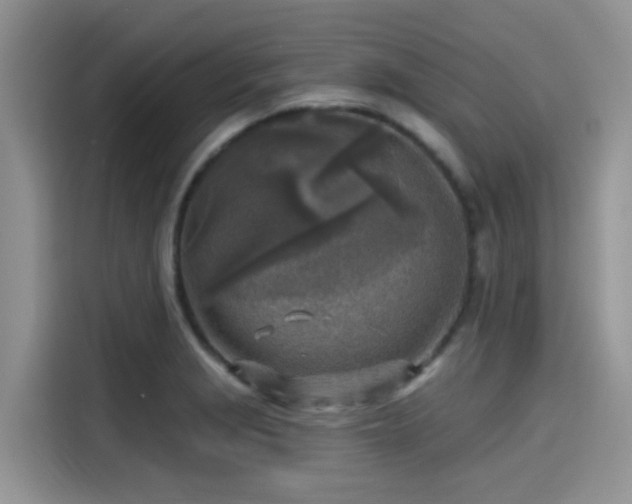 X0000115431229200911121056