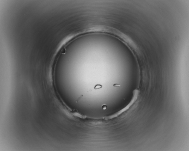 X0000115431230200911121056