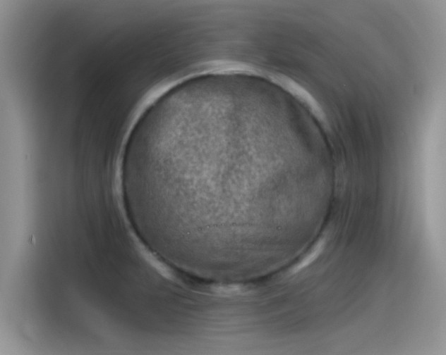 X0000115431231200911121056
