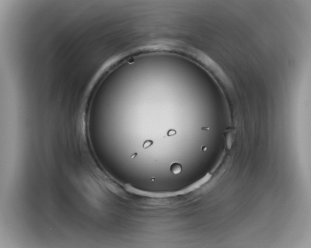 X0000115431232200911121056