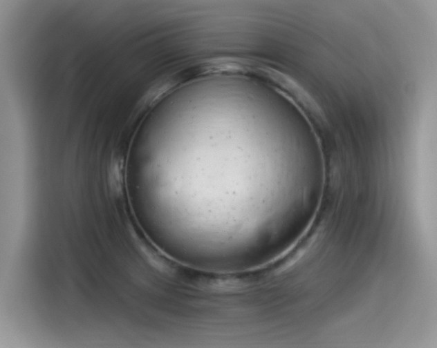 X0000115431233200911121057
