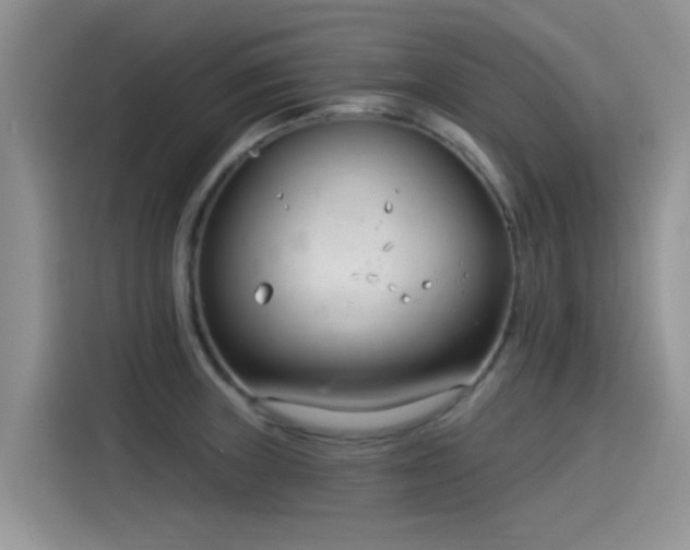 X0000115431235200911121057