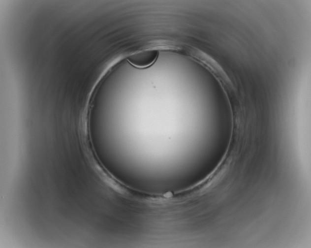 X0000115431236200911121057