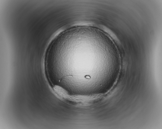 X0000115431237200911121057