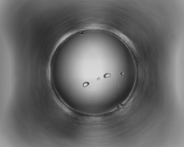 X0000115431238200911121057