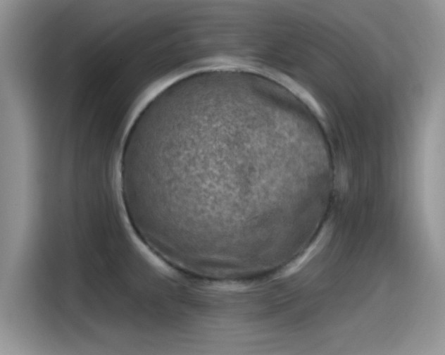 X0000115431239200911121057