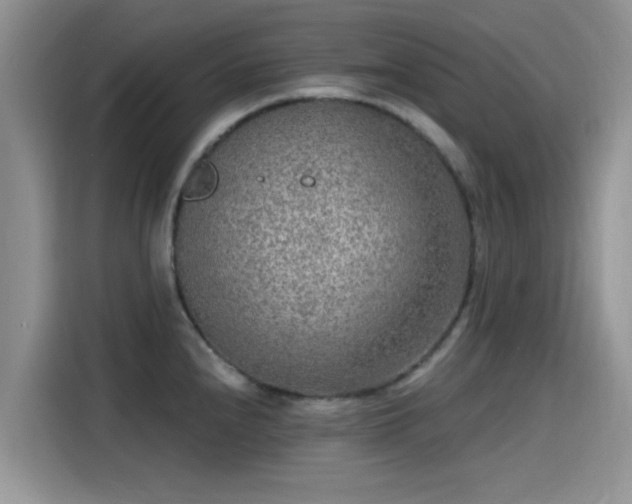 X0000115431240200911121057