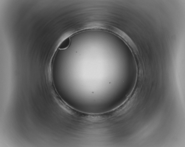 X0000115431242200911121057