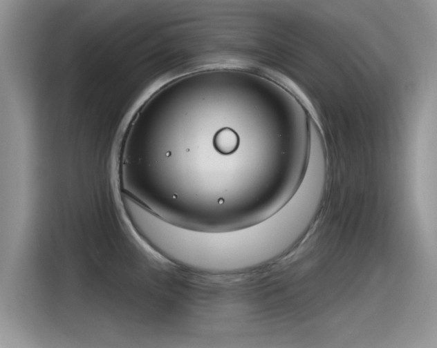 X0000115431243200911121057
