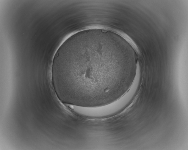 X0000115431244200911121057