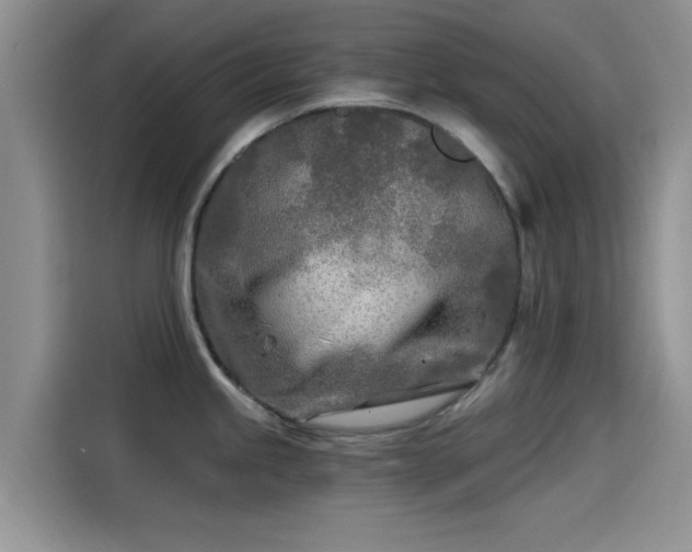 X0000115431245200911121057