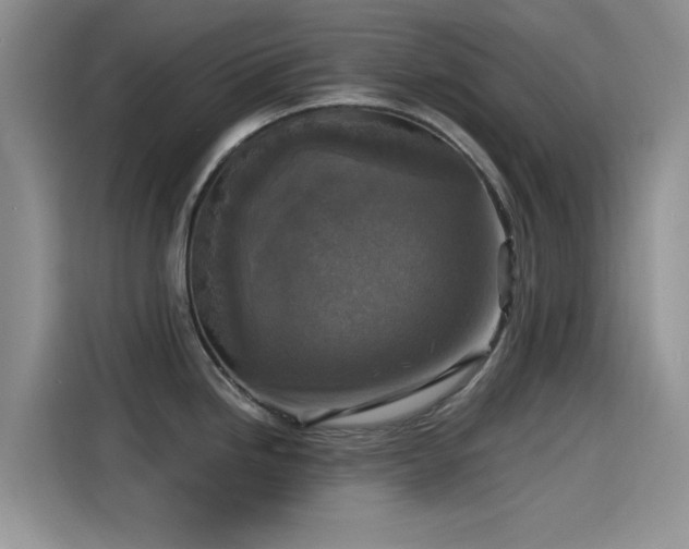 X0000115431246200911121057