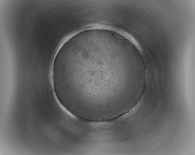 X0000115431247200911121057