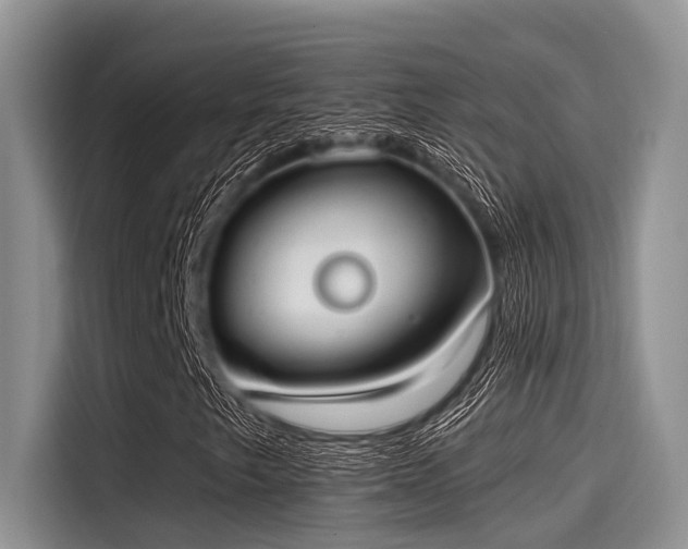 X0000115431249200911121056