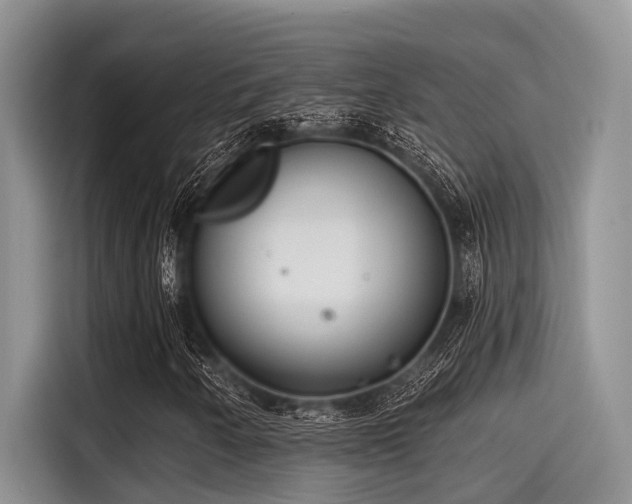 X0000115431250200911121056