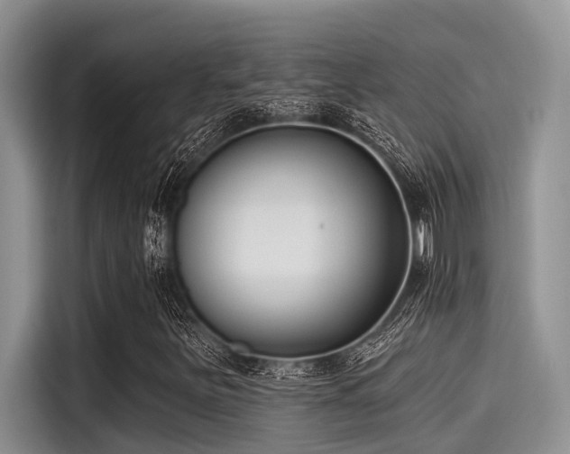 X0000115431251200911121056