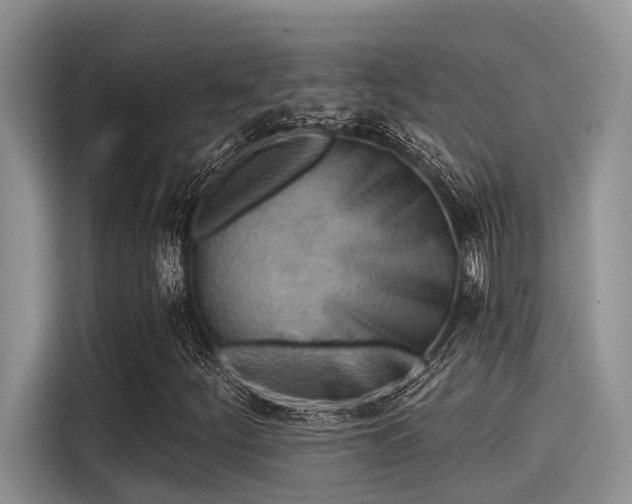 X0000115431252200911121056