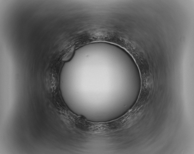 X0000115431253200911121056