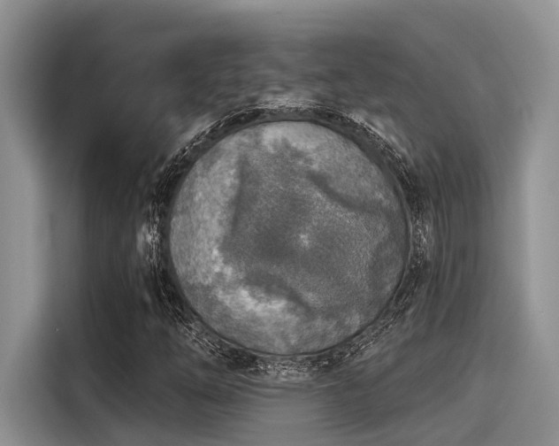 X0000115431254200911121056