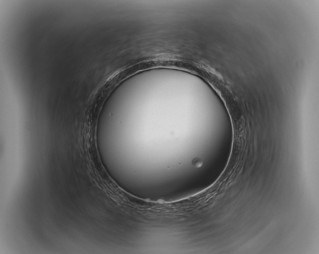 X0000115431255200911121056
