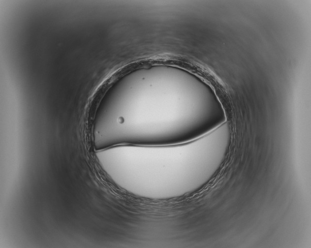 X0000115431256200911121056
