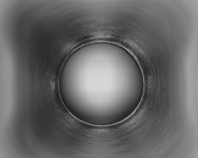 X0000115431257200911121056
