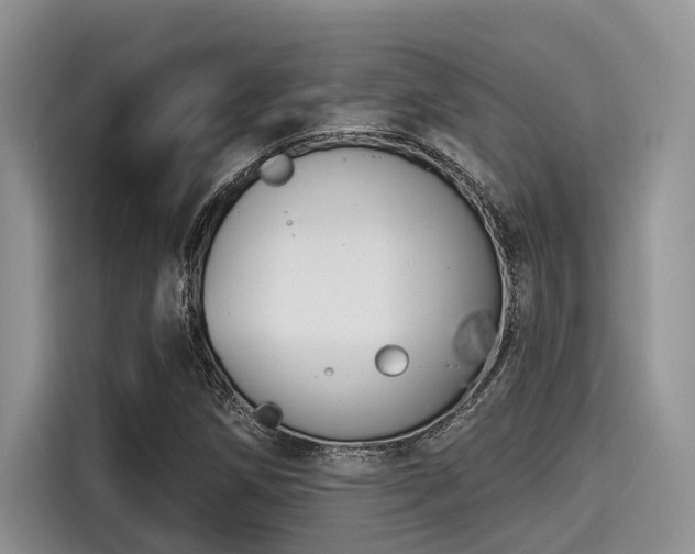 X0000115431258200911121056