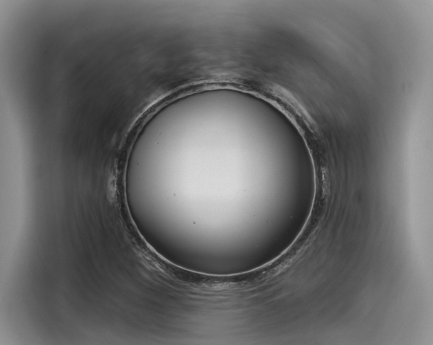 X0000115431260200911121056
