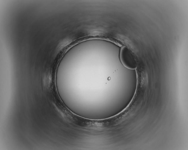 X0000115431261200911121056