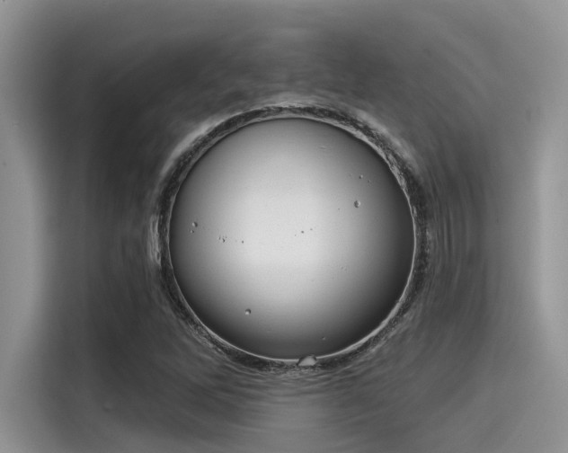 X0000115431262200911121056