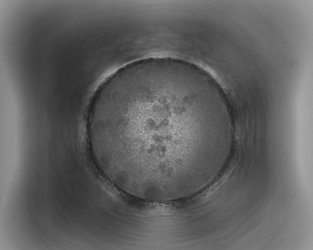 X0000115431263200911121056
