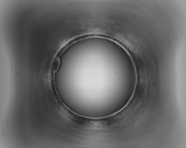 X0000115431264200911121056