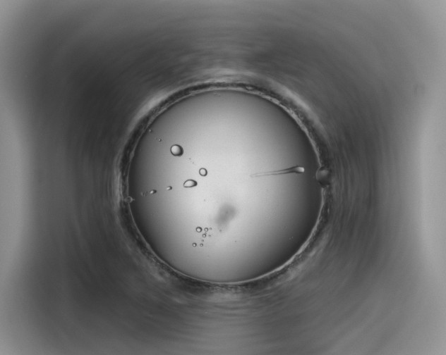 X0000115431267200911121056