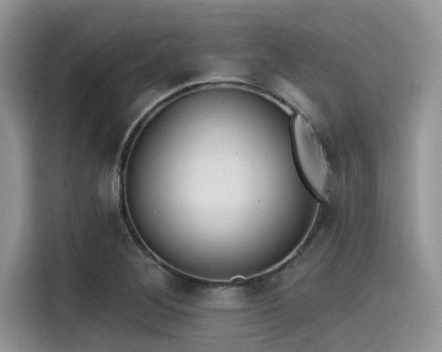 X0000115431268200911121056