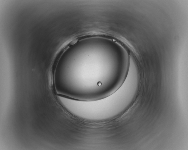 X0000115431269200911121056