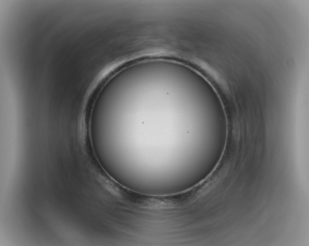 X0000115431270200911121056