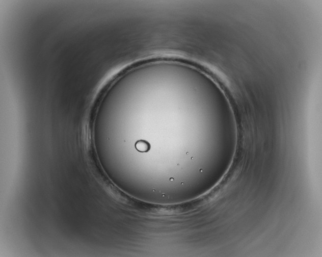 X0000115431271200911121056