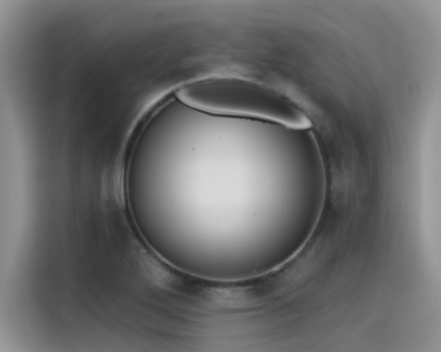 X0000115431272200911121056