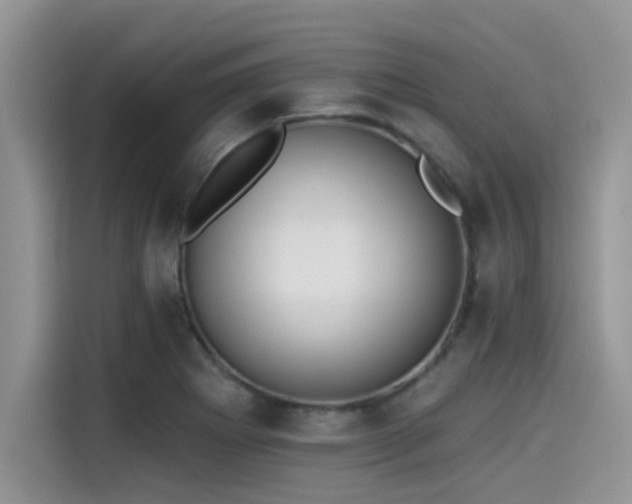 X0000115431273200911121056