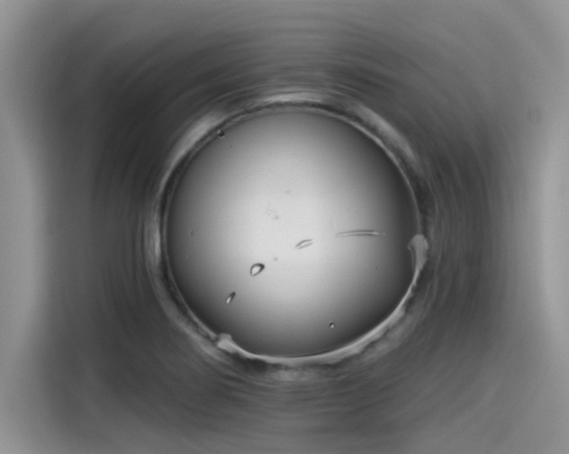 X0000115431274200911121056