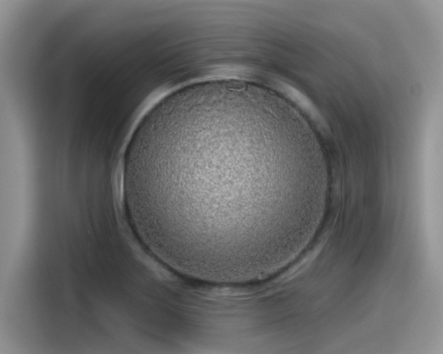 X0000115431275200911121056