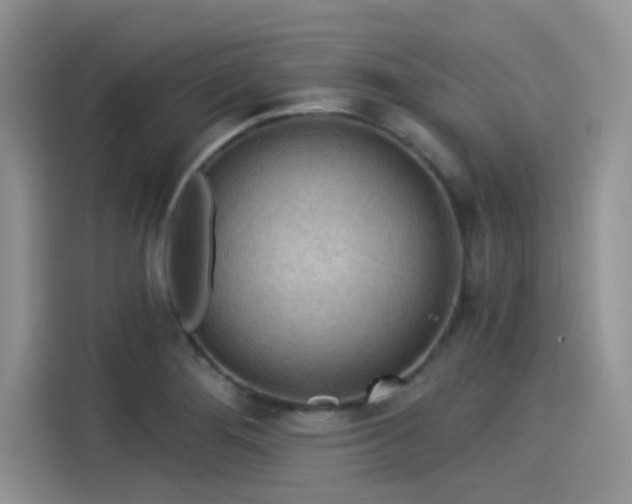X0000115431276200911121056