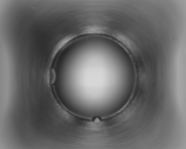 X0000115431277200911121056