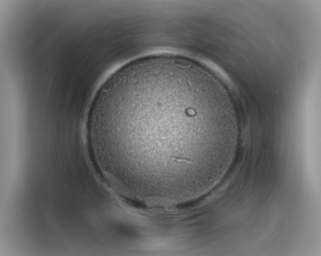 X0000115431279200911121056