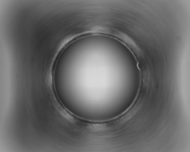X0000115431280200911121056
