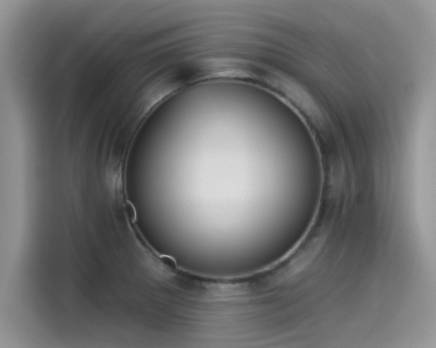 X0000115431281200911121056