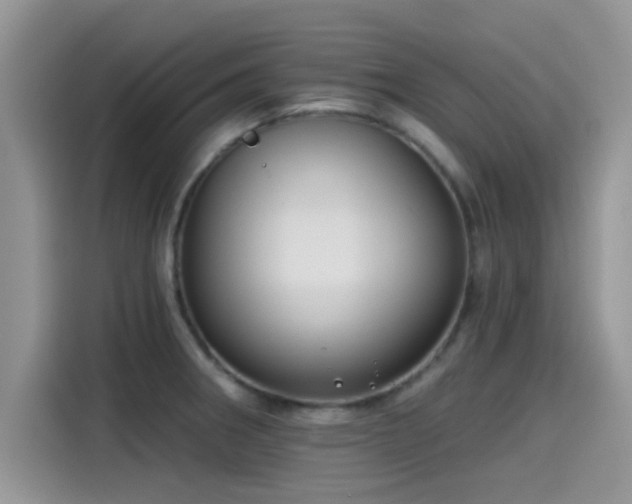 X0000115431282200911121056