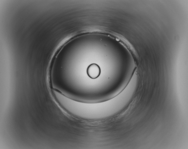 X0000115431285200911121056