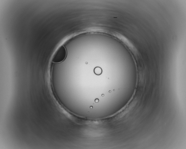 X0000115431286200911121056