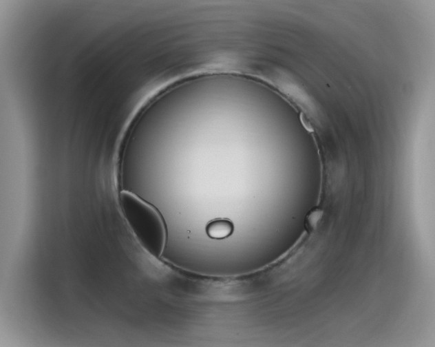 X0000115431288200911121056